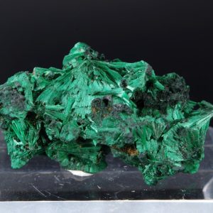 Malachite fibreuse Congo 4.5x2.6cm (malcf8)