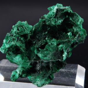 Malachite fibreuse Congo 5.2x4cm (malcf20)
