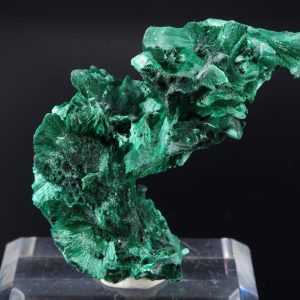 Malachite fibreuse Congo 6.8x4.9cm (malcf5)