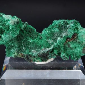 Malachite fibreuse Congo 7.4x4.1cm (malcf11)
