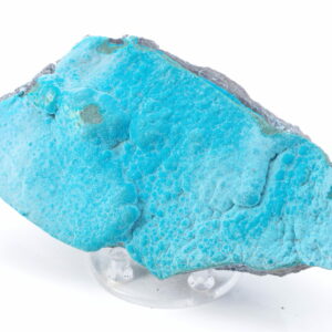 Chrysocolle Congo 14.5x6.5cm (chry42-6)