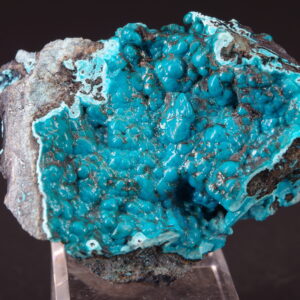 Chrysocolle Pérou 4.5x2.7cm (chryp7)