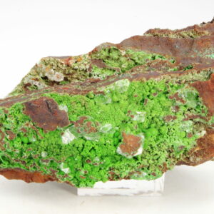 Conichalcite Mexique 6.5x3.5cm (conimpf16)