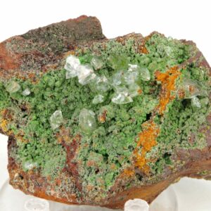 Conichalcite Mexique 8x5cm (conimc3-9)