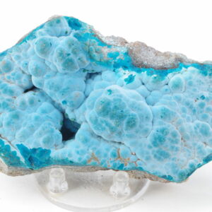 Chrysocolle Congo 11x6cm (chry42-9)