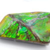 Ammolite du Canada