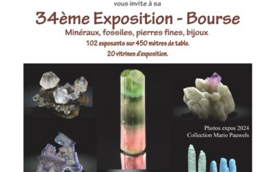 Bourse minéralogique de Hannut 2025