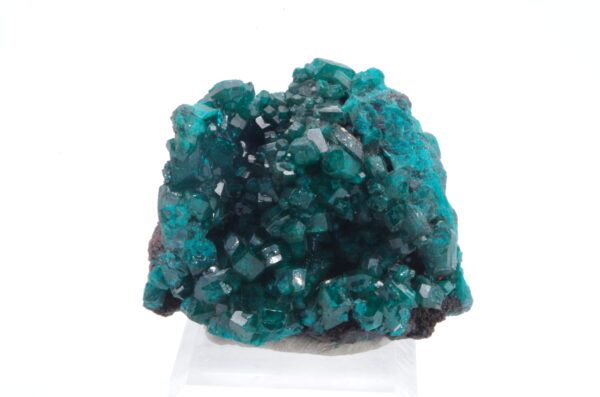 Dioptase du Congo